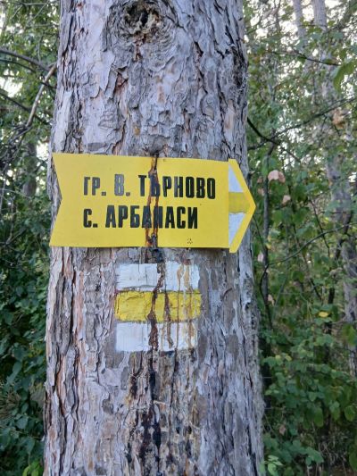 Приключение сред природата  6