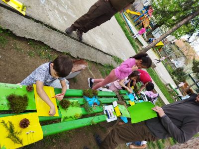 Как група "Пинокио" посадиха дърво 15